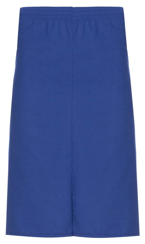 Medical Skirt Amelia Blue - women's medical skirts